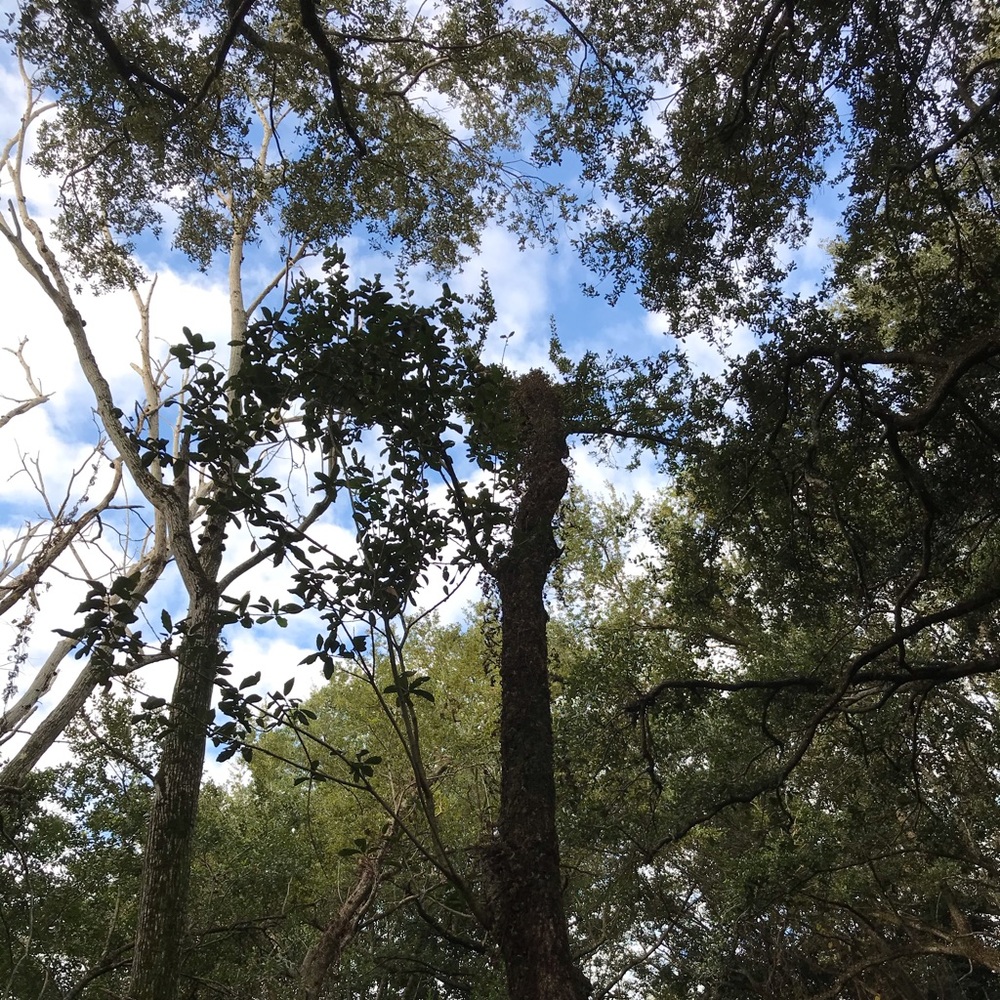 Meet your Posher, Natasha